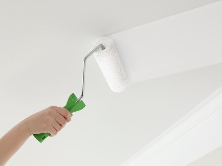 Bathroom Ceiling Paint