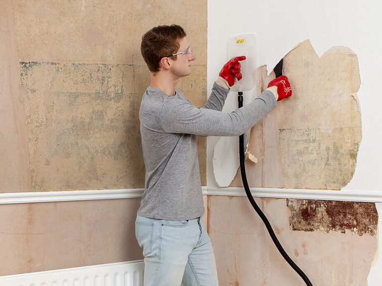 Wallpaper Removal Steamer