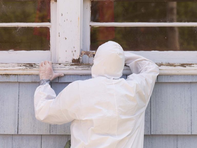 Lead Paint Removal