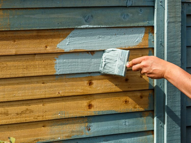 expert fence painting