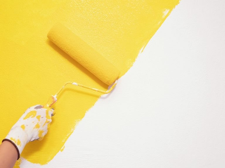 paint for interior walls