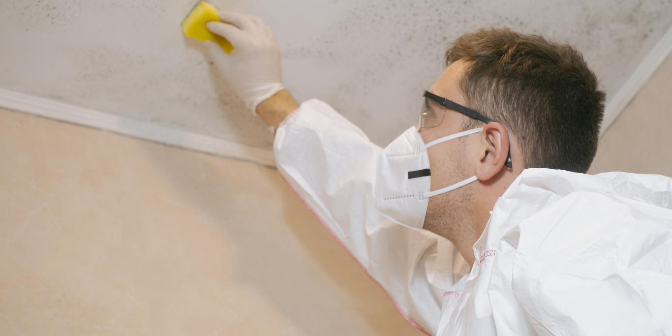 Want to Breathe New Life into Old Walls Safe and Effective Paint Removal Can Help Want to Breathe New Life into Old Walls Safe and Effective Paint Removal Can Help
