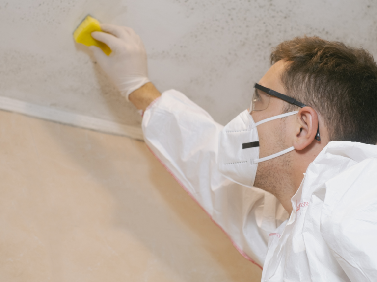 Want to Breathe New Life into Old Walls Safe and Effective Paint Removal Can Help