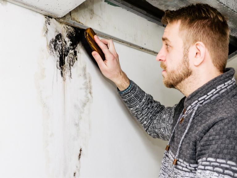 paint removal services in allen texas