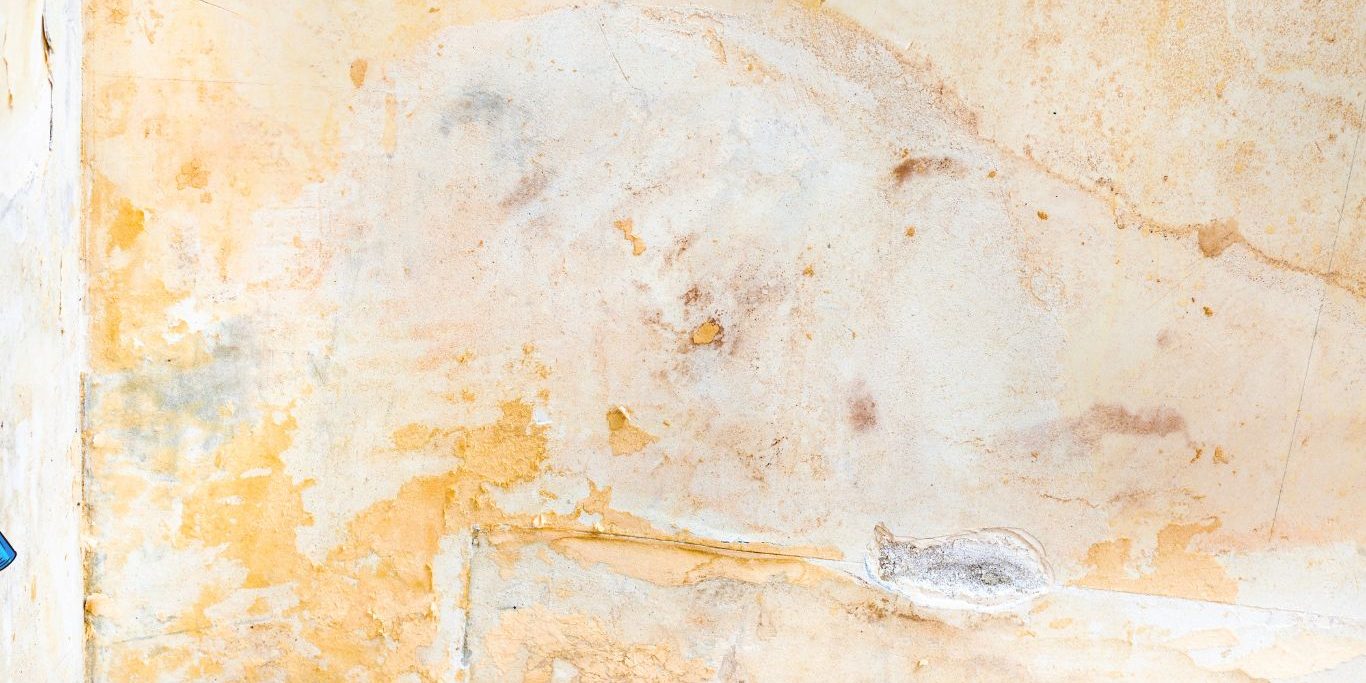 Beyond the Blade Essential Safety Precautions for Wallpaper Removal Beyond the Blade Essential Safety Precautions for Wallpaper Removal