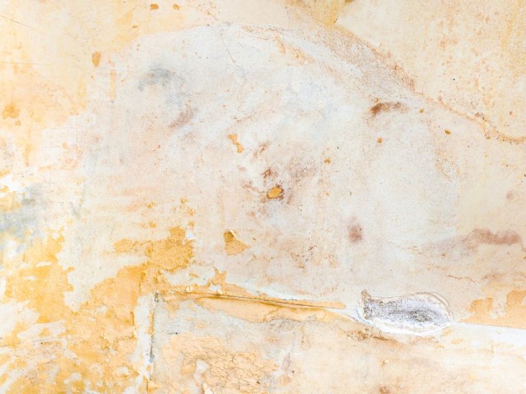 Beyond the Blade Essential Safety Precautions for Wallpaper Removal