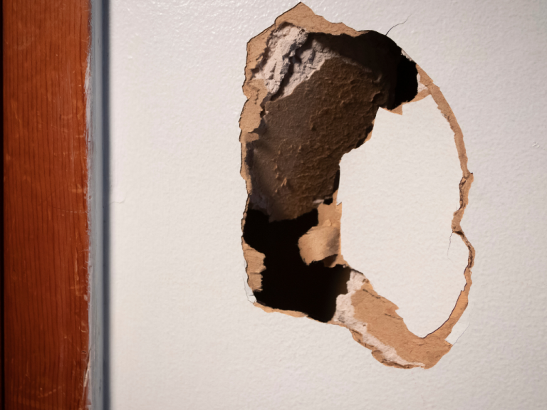 Hole in Your Wall Got You Down Drywall Repair A Lifesaver for Common Household Mishaps
