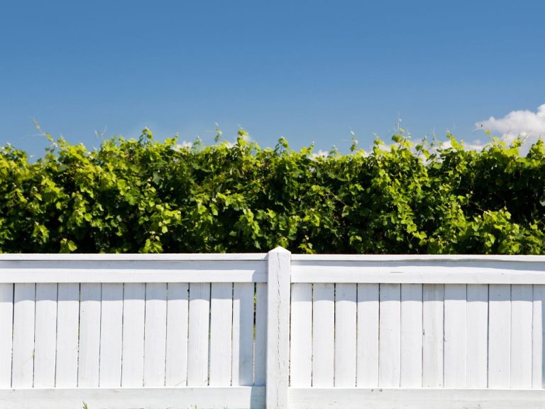 How to Maintain Your Painted Fence for Longevity Tips and Tricks