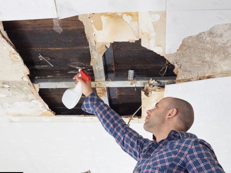 Essential Tools and Materials for a Smooth Popcorn Ceiling Removal
