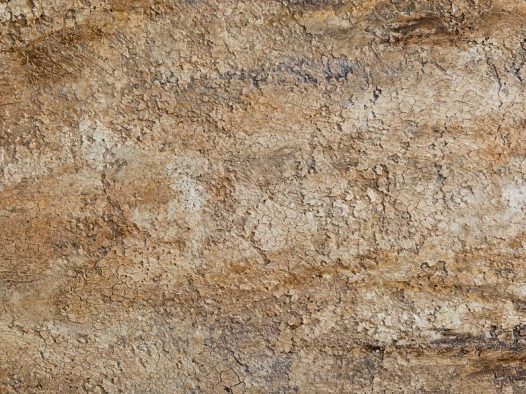 Stay Ahead of the Curve The Latest Trends in Faux Finishing Painting Mastery