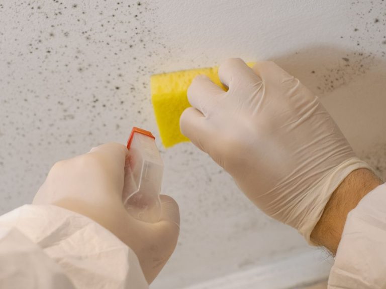 How Do Paint Removal Services Prepare Your Surfaces for a Fresh Start?