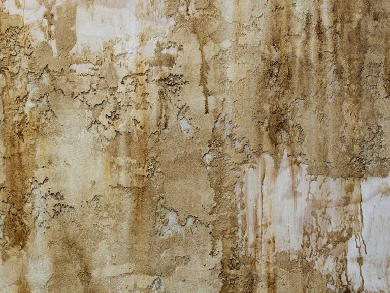 How to Correct Faux Finishing Errors: Tips for Repairing and Refreshing Your Walls in Allen, TX