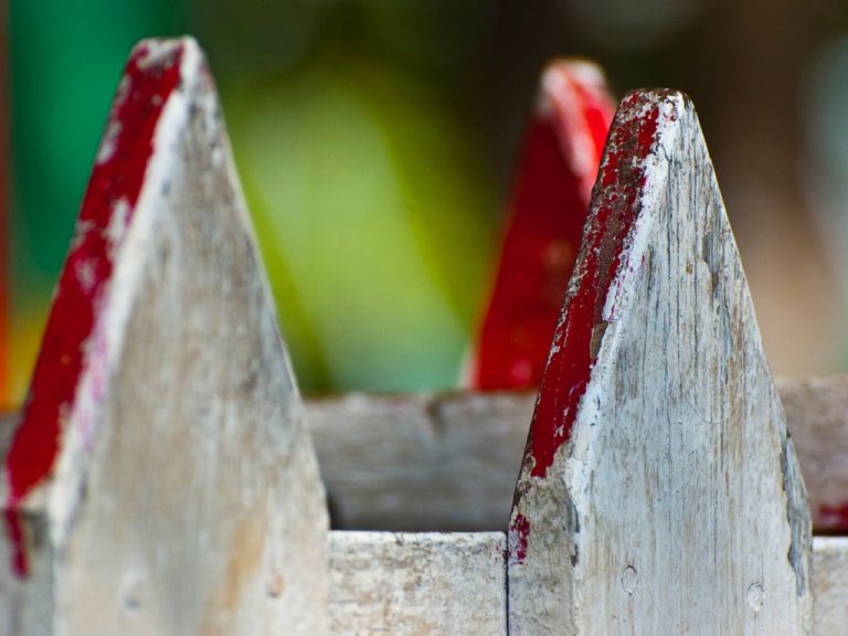 The Impact of Fence Maintenance on Long-Term Paint Durability: Tips and Tricks for Allen, TX Homeowners