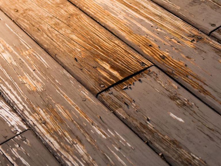Why Do Many Decks Fail Prematurely? Learn How Expert Staining and Sealing Make a Difference!