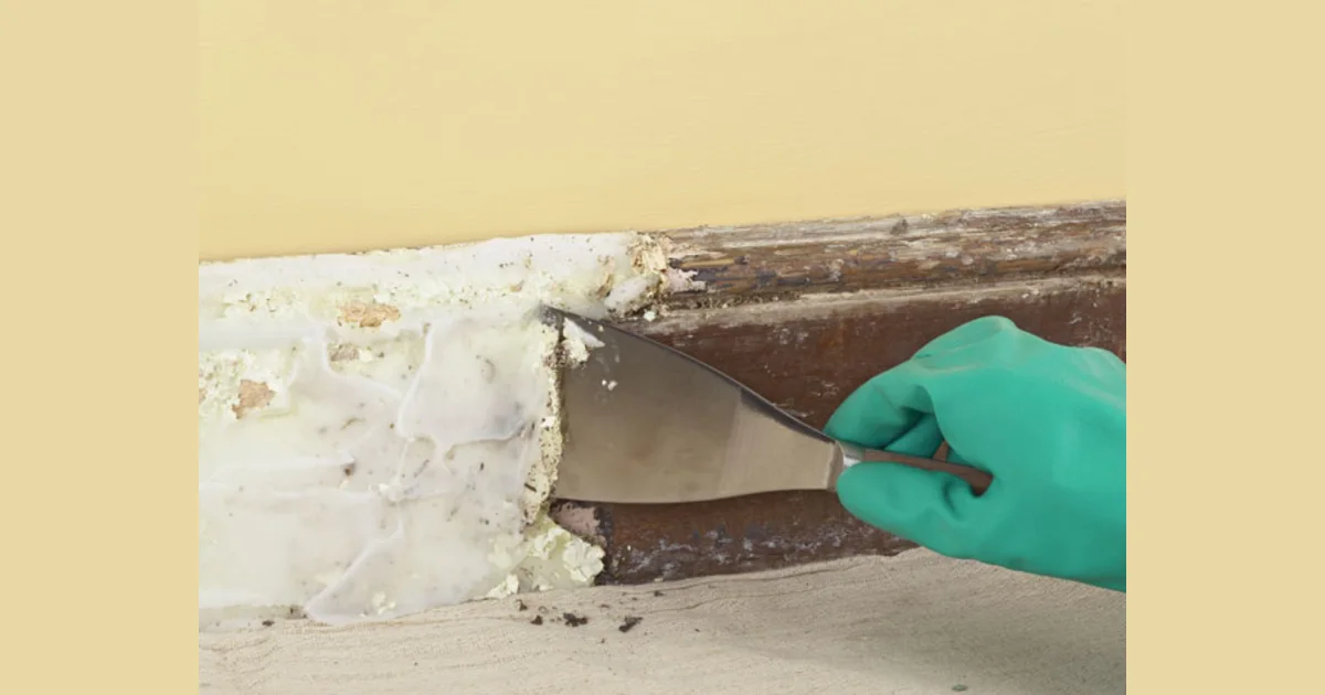 Mastering the Art of Paint Removal A Comprehensive Guide