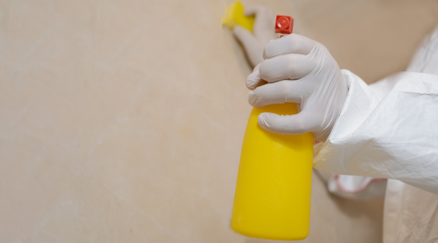 Mastering Paint Removal The Ultimate Guide to Unveiling Fresh Surfaces Mastering Paint Removal The Ultimate Guide to Unveiling Fresh Surfaces