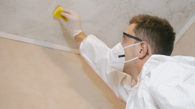 Want to Breathe New Life into Old Walls Safe and Effective Paint Removal Can Help Want to Breathe New Life into Old Walls Safe and Effective Paint Removal Can Help