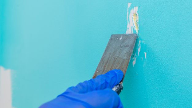 paint removal service blog