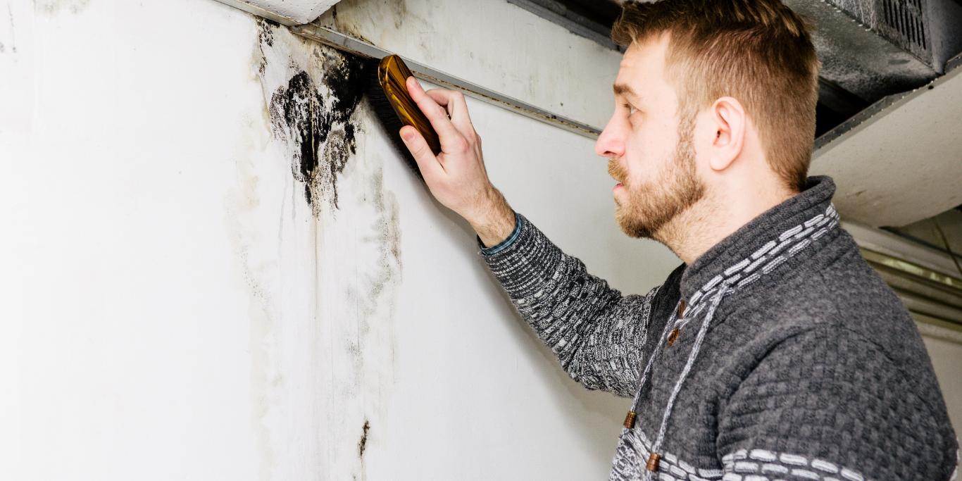 paint removal services in allen texas