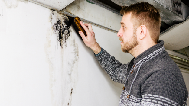 paint removal services in allen texas paint removal services in allen texas