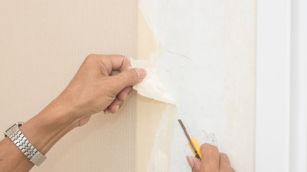 wallpaper removal service in allen