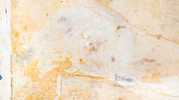 Beyond the Blade Essential Safety Precautions for Wallpaper Removal Beyond the Blade Essential Safety Precautions for Wallpaper Removal