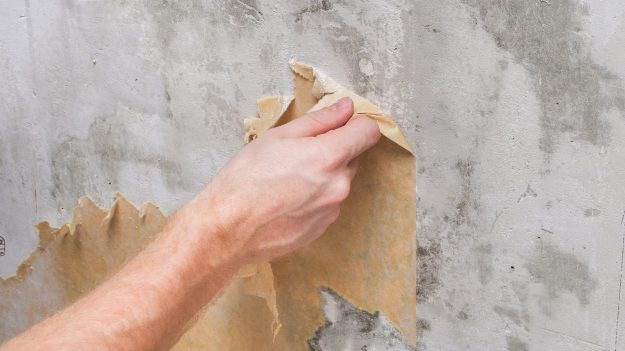 Can you provide step-by-step instructions for removing wallpaper efficiently Can you provide step-by-step instructions for removing wallpaper efficiently