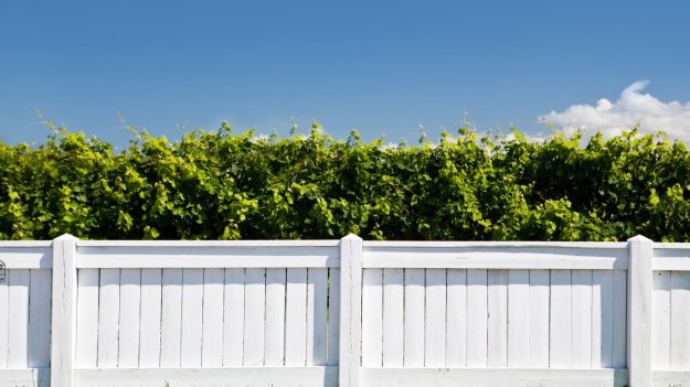 How to Maintain Your Painted Fence for Longevity Tips and Tricks How to Maintain Your Painted Fence for Longevity Tips and Tricks