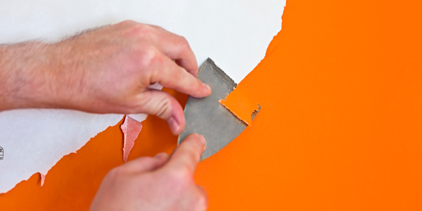 Paint Removal Dilemma Weighing the Value of Professional Services Against the DIY Approach Paint Removal Dilemma Weighing the Value of Professional Services Against the DIY Approach