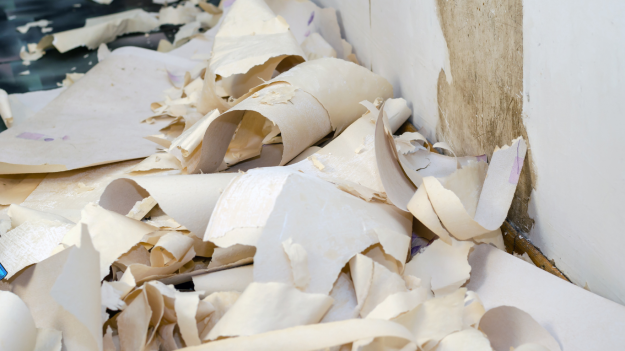 Streamlining Wallpaper Removal How to Accelerate the Process for Faster Results Streamlining Wallpaper Removal How to Accelerate the Process for Faster Results