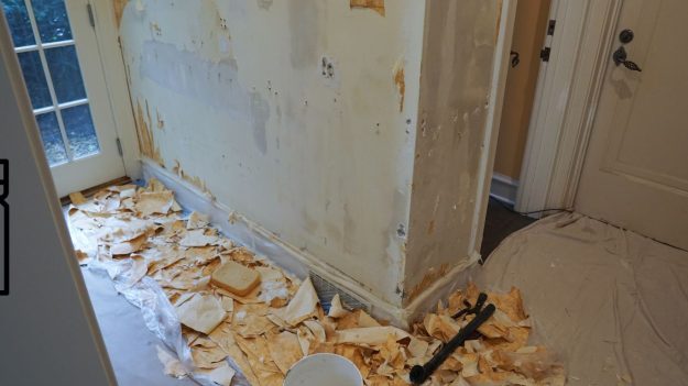 Avoid These Common Mistakes When Removing Wallpaper A Beginners Guide for Allen TX Homeowners Avoid These Common Mistakes When Removing Wallpaper A Beginners Guide for Allen TX Homeowners