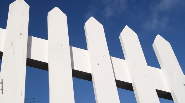 Beyond a Bucket and Brush What to Consider When Choosing an Expert Fence Painter in Allen TX