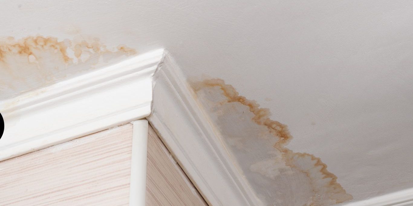 Understanding the Health Risks of Popcorn Ceilings What You Need to Know Understanding the Health Risks of Popcorn Ceilings What You Need to Know