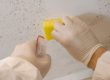 How Do Paint Removal Services Prepare Your Surfaces for a Fresh Start?