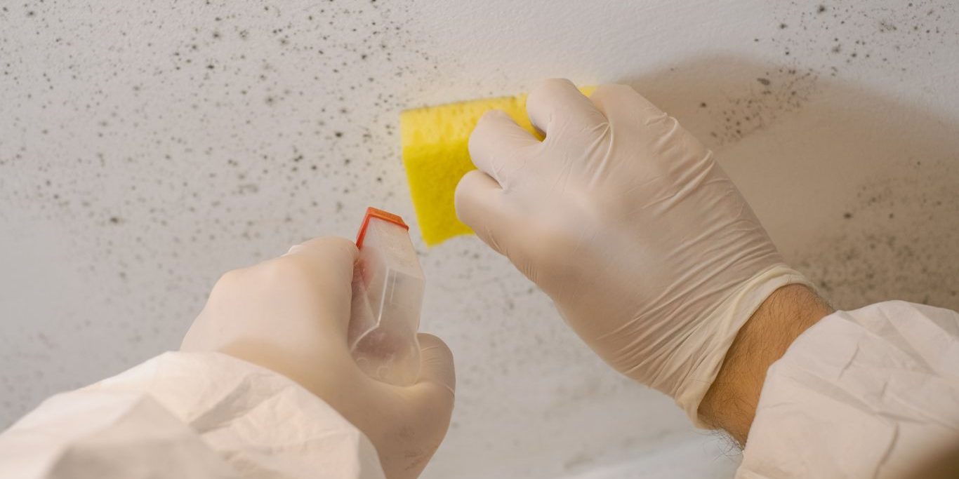 How Do Paint Removal Services Prepare Your Surfaces for a Fresh Start How Do Paint Removal Services Prepare Your Surfaces for a Fresh Start?