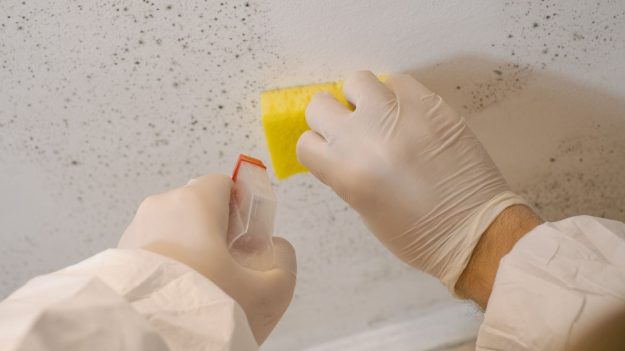 How Do Paint Removal Services Prepare Your Surfaces for a Fresh Start How Do Paint Removal Services Prepare Your Surfaces for a Fresh Start?