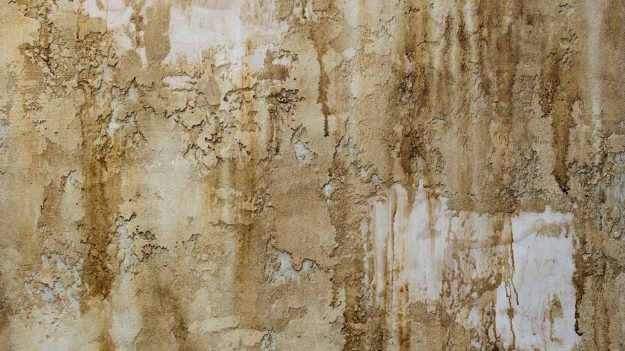 How to Correct Faux Finishing Errors Tips for Repairing and Refreshing Your Walls in Allen, TX How to Correct Faux Finishing Errors: Tips for Repairing and Refreshing Your Walls in Allen, TX