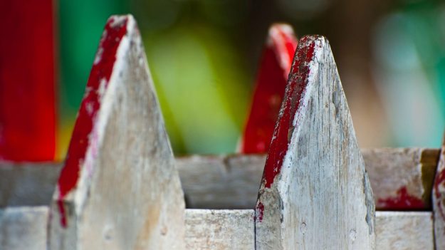 The Impact of Fence Maintenance on Long-Term Paint Durability Tips and Tricks for Allen, TX Homeowners The Impact of Fence Maintenance on Long-Term Paint Durability: Tips and Tricks for Allen, TX Homeowners