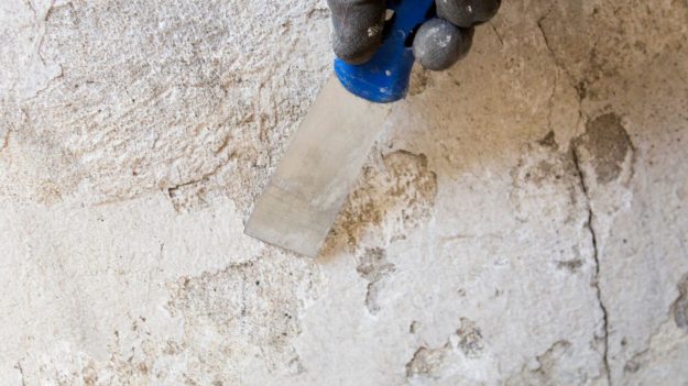 Why Your Paint Removal Project Is Taking Longer Than Expected and How to Speed It Up Why Your Paint Removal Project Is Taking Longer Than Expected and How to Speed It Up